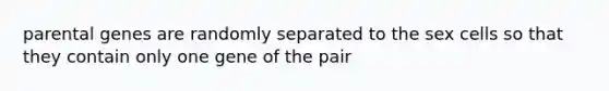 parental genes are randomly separated to the sex cells so that they contain only one gene of the pair