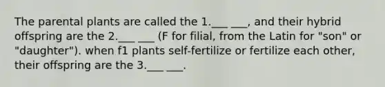 The parental plants are called the 1.___ ___, and their hybrid offspring are the 2.___ ___ (F for filial, from the Latin for "son" or "daughter"). when f1 plants self-fertilize or fertilize each other, their offspring are the 3.___ ___.