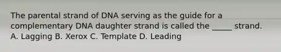 The parental strand of DNA serving as the guide for a complementary DNA daughter strand is called the _____ strand. A. Lagging B. Xerox C. Template D. Leading