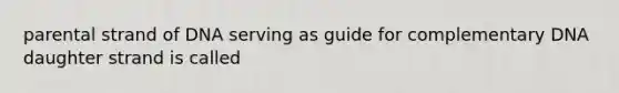 parental strand of DNA serving as guide for complementary DNA daughter strand is called