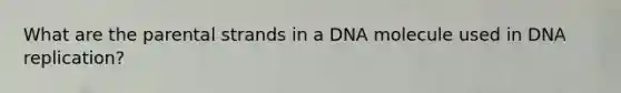 What are the parental strands in a DNA molecule used in DNA replication?