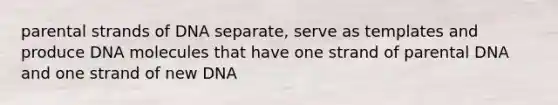 parental strands of DNA separate, serve as templates and produce DNA molecules that have one strand of parental DNA and one strand of new DNA