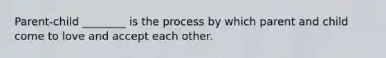 Parent-child ________ is the process by which parent and child come to love and accept each other.