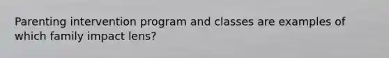 Parenting intervention program and classes are examples of which family impact lens?