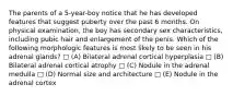 The parents of a 5-year-boy notice that he has developed features that suggest puberty over the past 6 months. On physical examination, the boy has secondary sex characteristics, including pubic hair and enlargement of the penis. Which of the following morphologic features is most likely to be seen in his adrenal glands? □ (A) Bilateral adrenal cortical hyperplasia □ (B) Bilateral adrenal cortical atrophy □ (C) Nodule in the adrenal medulla □ (D) Normal size and architecture □ (E) Nodule in the adrenal cortex