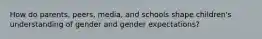 How do parents, peers, media, and schools shape children's understanding of gender and gender expectations?