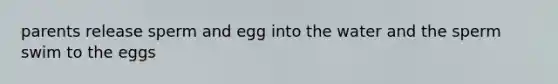 parents release sperm and egg into the water and the sperm swim to the eggs