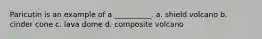 Paricutin is an example of a __________. a. shield volcano b. cinder cone c. lava dome d. composite volcano