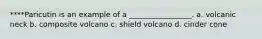 ****Paricutin is an example of a _________________. a. volcanic neck b. composite volcano c. shield volcano d. cinder cone