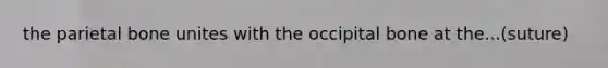 the parietal bone unites with the occipital bone at the...(suture)