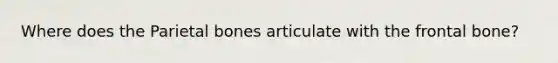 Where does the Parietal bones articulate with the frontal bone?