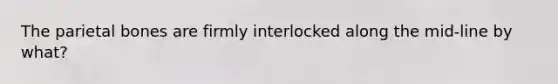 The parietal bones are firmly interlocked along the mid-line by what?