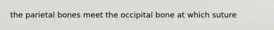 the parietal bones meet the occipital bone at which suture