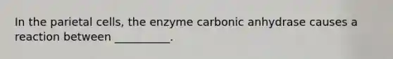 In the parietal cells, the enzyme carbonic anhydrase causes a reaction between __________.