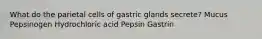 What do the parietal cells of gastric glands secrete? Mucus Pepsinogen Hydrochloric acid Pepsin Gastrin