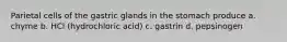 Parietal cells of the gastric glands in the stomach produce a. chyme b. HCl (hydrochloric acid) c. gastrin d. pepsinogen