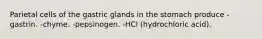 Parietal cells of the gastric glands in the stomach produce -gastrin. -chyme. -pepsinogen. -HCl (hydrochloric acid).