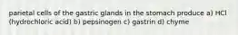 parietal cells of the gastric glands in the stomach produce a) HCl (hydrochloric acid) b) pepsinogen c) gastrin d) chyme