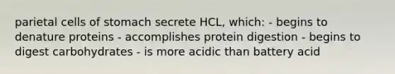 parietal cells of stomach secrete HCL, which: - begins to denature proteins - accomplishes protein digestion - begins to digest carbohydrates - is more acidic than battery acid