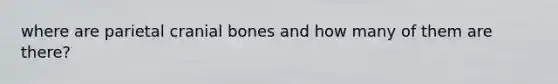 where are parietal cranial bones and how many of them are there?