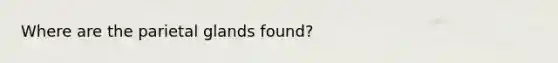 Where are the parietal glands found?