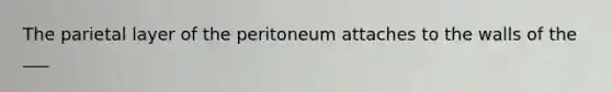 The parietal layer of the peritoneum attaches to the walls of the ___