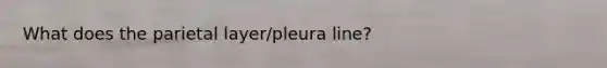 What does the parietal layer/pleura line?