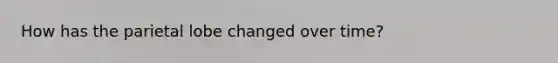 How has the parietal lobe changed over time?