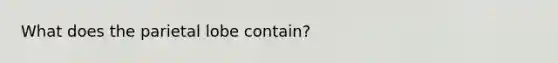 What does the parietal lobe contain?