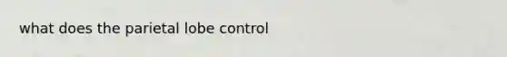 what does the parietal lobe control