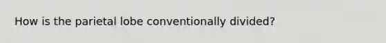 How is the parietal lobe conventionally divided?