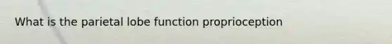 What is the parietal lobe function proprioception