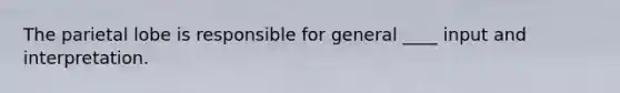 The parietal lobe is responsible for general ____ input and interpretation.