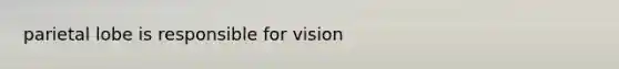 parietal lobe is responsible for vision