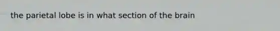 the parietal lobe is in what section of the brain