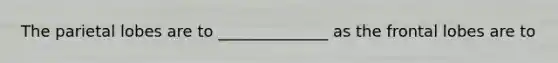 The parietal lobes are to ______________ as the frontal lobes are to