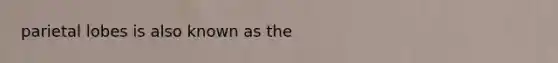 parietal lobes is also known as the