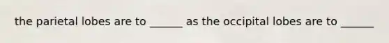 the parietal lobes are to ______ as the occipital lobes are to ______