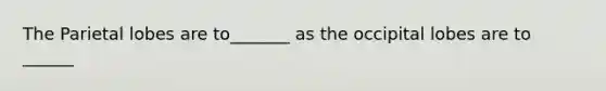 The Parietal lobes are to_______ as the occipital lobes are to ______