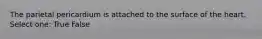 The parietal pericardium is attached to the surface of the heart. Select one: True False