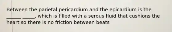 Between the parietal pericardium and the epicardium is the ______ _____, which is filled with a serous fluid that cushions the heart so there is no friction between beats