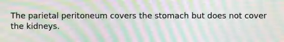 The parietal peritoneum covers <a href='https://www.questionai.com/knowledge/kLccSGjkt8-the-stomach' class='anchor-knowledge'>the stomach</a> but does not cover the kidneys.