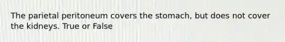 The parietal peritoneum covers <a href='https://www.questionai.com/knowledge/kLccSGjkt8-the-stomach' class='anchor-knowledge'>the stomach</a>, but does not cover the kidneys. True or False