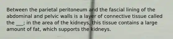 Between the parietal peritoneum and the fascial lining of the abdominal and pelvic walls is a layer of connective tissue called the ___; in the area of the kidneys, this tissue contains a large amount of fat, which supports the kidneys.