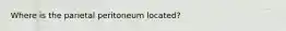 Where is the parietal peritoneum located?