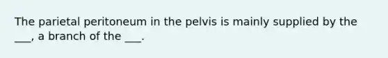 The parietal peritoneum in the pelvis is mainly supplied by the ___, a branch of the ___.