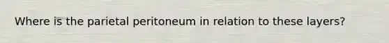 Where is the parietal peritoneum in relation to these layers?