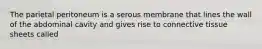 The parietal peritoneum is a serous membrane that lines the wall of the abdominal cavity and gives rise to connective tissue sheets called