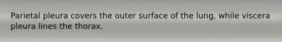 Parietal pleura covers the outer surface of the lung, while viscera pleura lines the thorax.