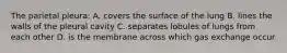 The parietal pleura: A. covers the surface of the lung B. lines the walls of the pleural cavity C. separates lobules of lungs from each other D. is the membrane across which gas exchange occur